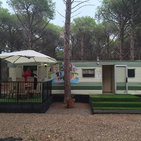 Tanit Camping *